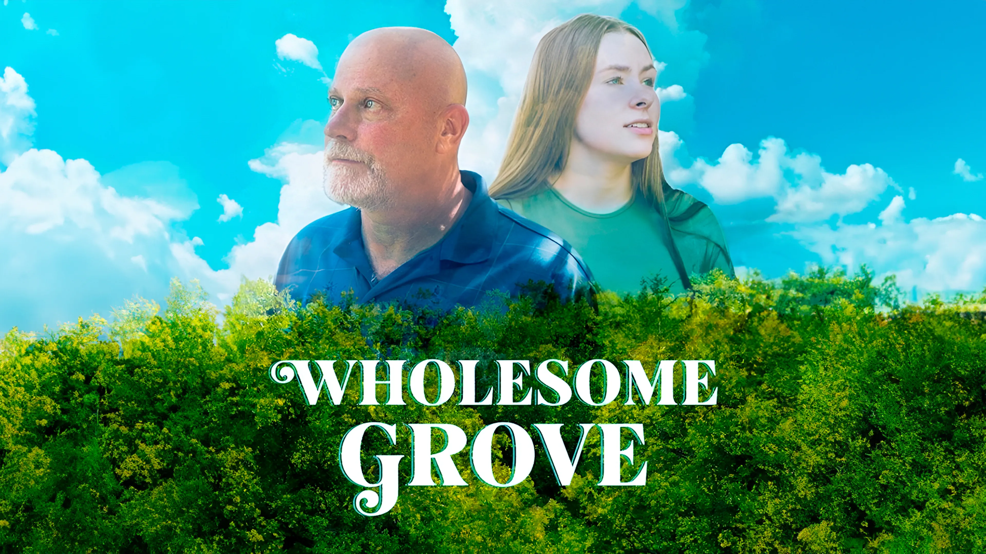 Wholesome Grove poster